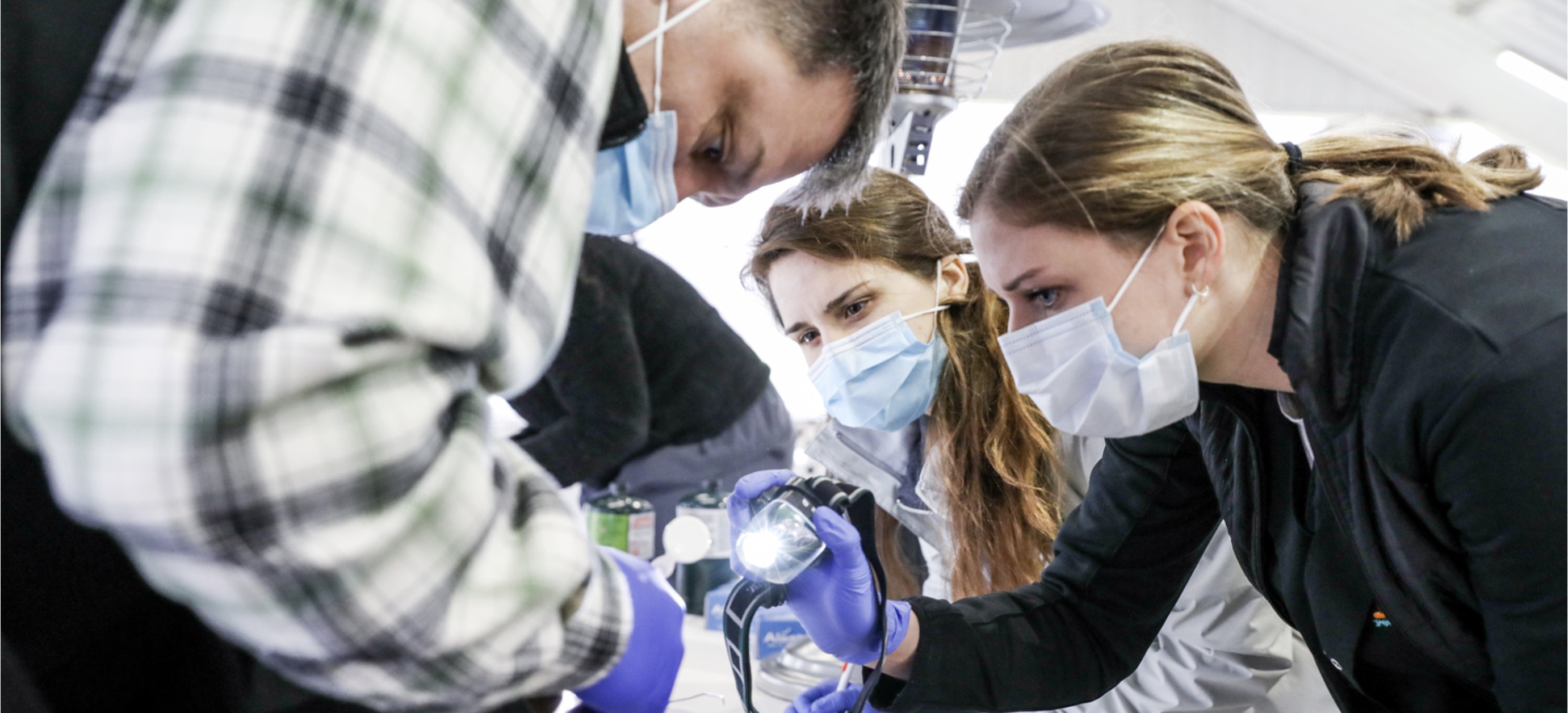 dental students wearing safety masks participate in a patient examination
